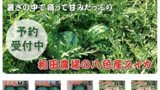 ホームページ制作事例「和田農場直売オンラインショップ」